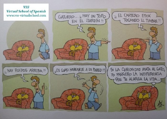 Spanish vocabulary and grammar: Humor de Gaturro – oraciones condicionales