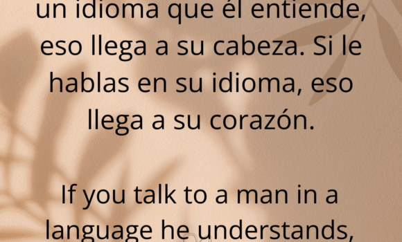 Expresiones en español: Corazón vs. Cabeza